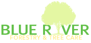 Blue River Tree Care Tree Service for Boulder Colorado Blue River Tree Care Tree Service for Boulder Colorado