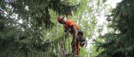 High Winds Clean Up