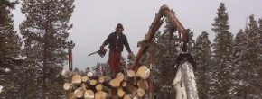 Forestry