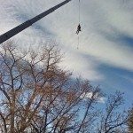 Boulder Tree Service: The Technical Crane Removal