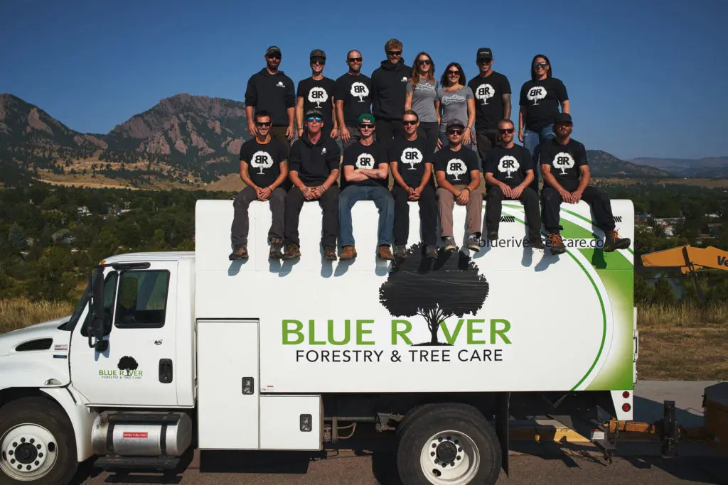 Erie, Colorado Tree Service Team