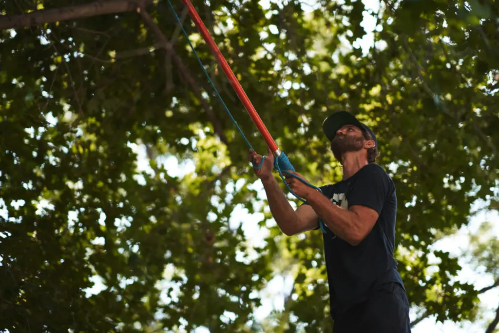 Tree Trimming Team in Lafayette, Colorado