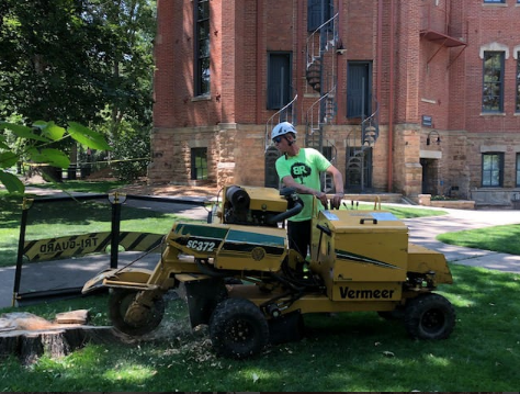 longmont-colorado-stump-removal Longmont, Colorado Stump Removal During Grinding