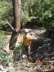 Arborist Hals, sizing up the damage on Boulder Creek.
