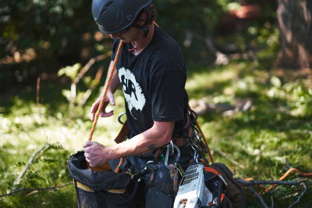 Louisville, Colorado Tree Service Team