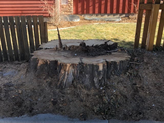 Stump Removal Services