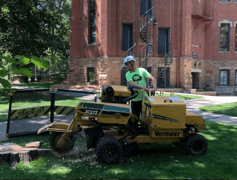 Longmont, Colorado Stump Removal During Grinding